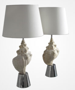 Lamps with Conch Shells by John Vesey