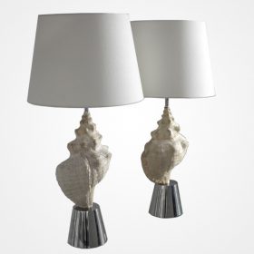Lamps with Conch Shells by John Vesey