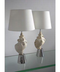 Lamps with Conch Shells by John Vesey