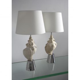 Lamps with Conch Shells by John Vesey